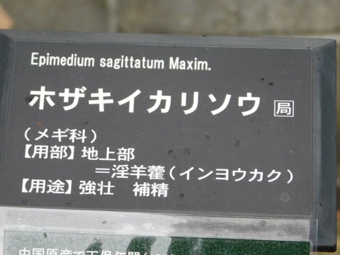 DSCN3671