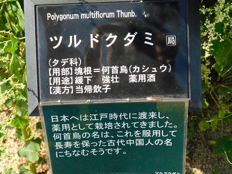 DSCN3895