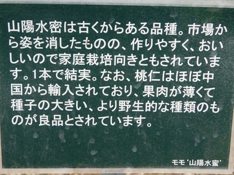 DSCN6731