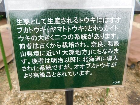 DSCN9612