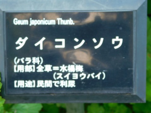 DSCN2159