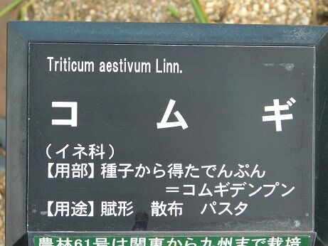 DSCN9301