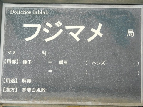 DSCN7348