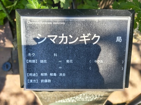 IMG_20261003_142137773_HDR