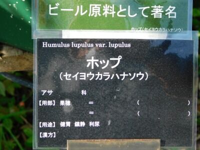 DSCN2011
