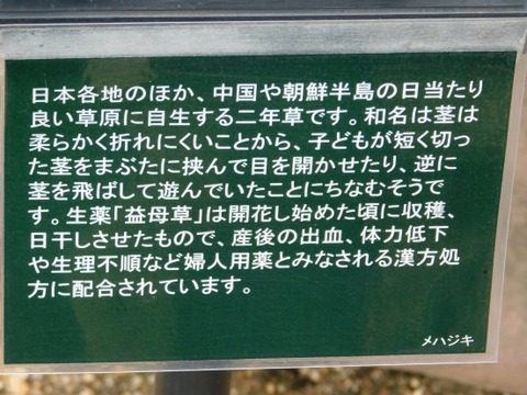 DSCN2129