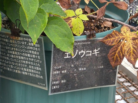 IMG_20260723_113658645