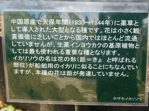 DSCN6348