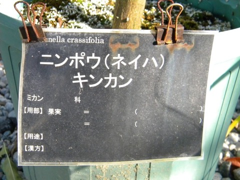 DSCN8383