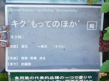 DSCN8779