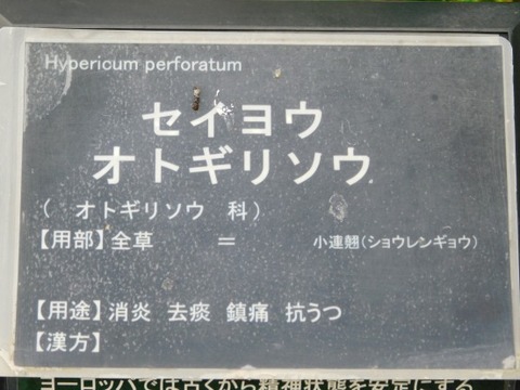 DSCN2062