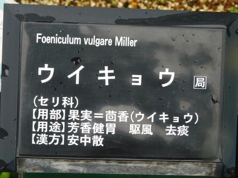 DSCN4402