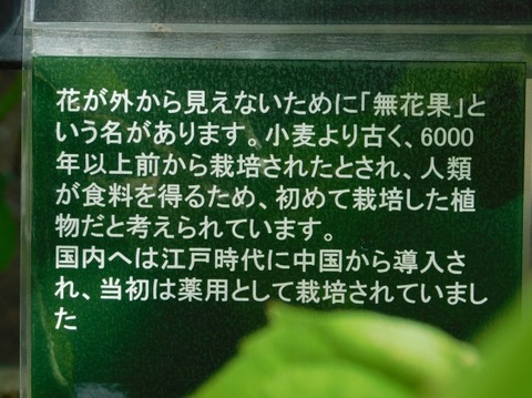 DSCN2613