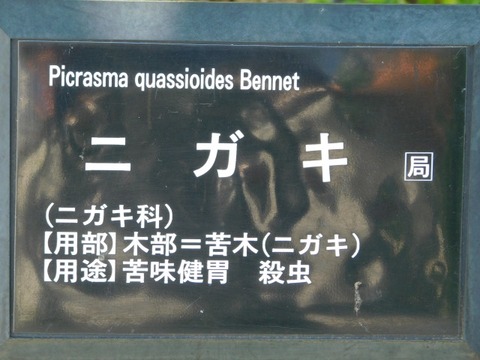 DSCN7460