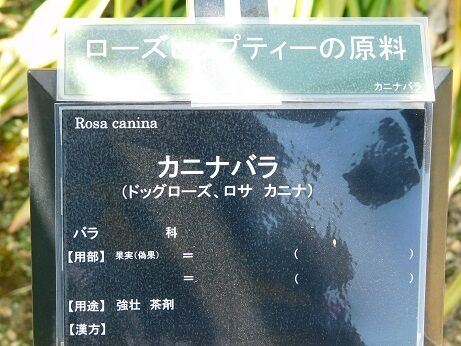 DSCN9378