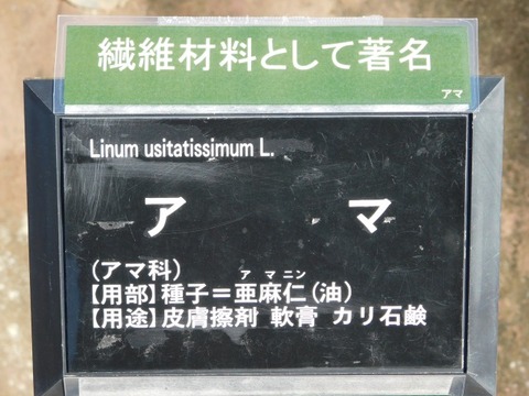 DSCN3544