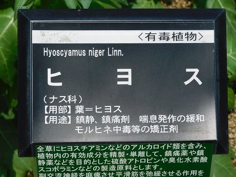 DSCN3146