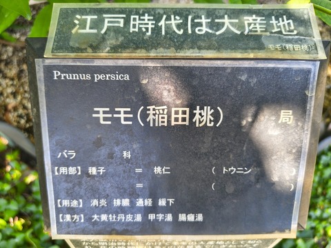 IMG_20260805_102033621_HDR