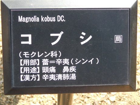 DSCN4491