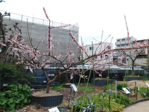 DSCN3623