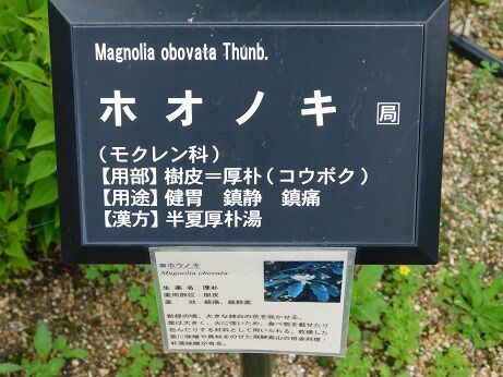 DSCN7637