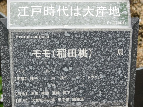 DSCN6380