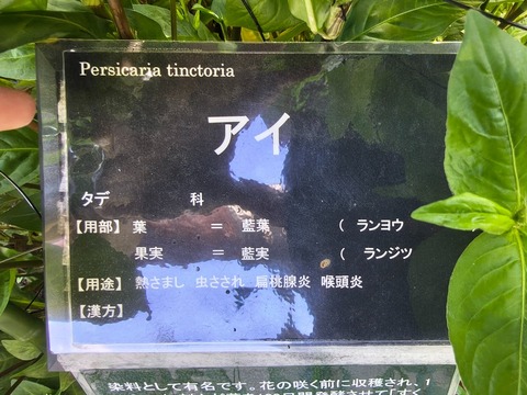 IMG_20260925_072709665_HDR
