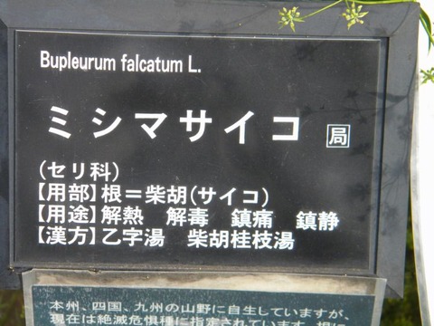 DSCN0003