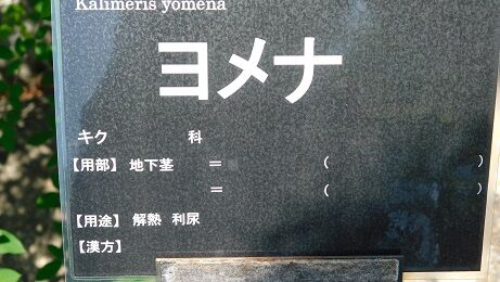 DSCN8115