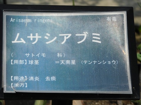 DSCN3718