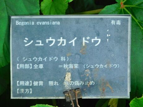 DSCN9938