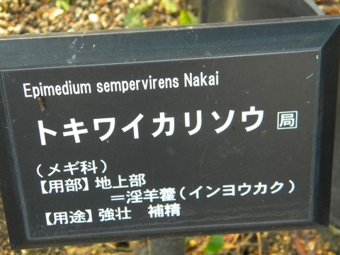 DSCN8532