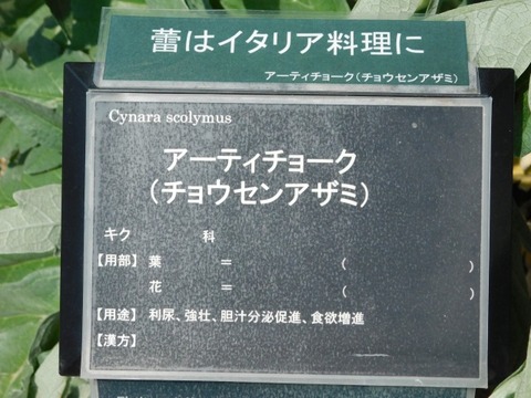 DSCN3922