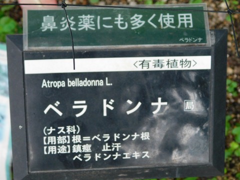 DSCN5047