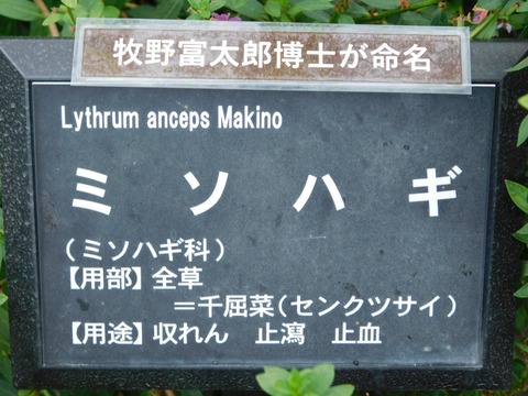 DSCN5045