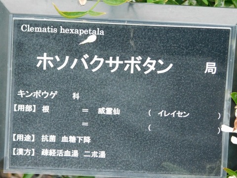 DSCN7505