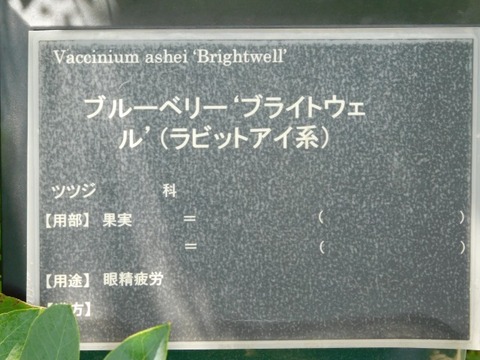 DSCN7177