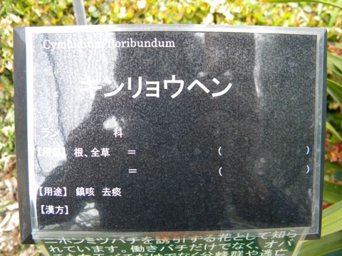 DSCN9014