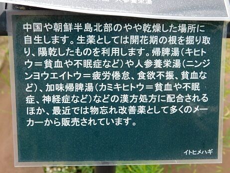DSCN9595