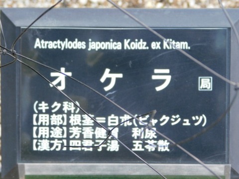 DSCN3854