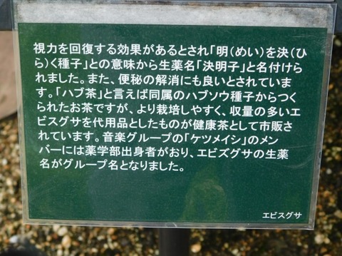 DSCN2618