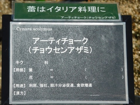 DSCN2790