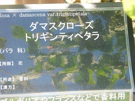 DSCN4817