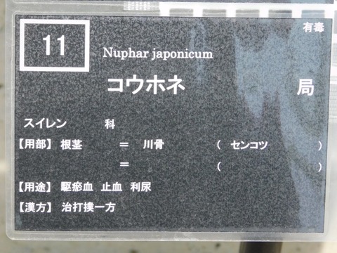 DSCN3889