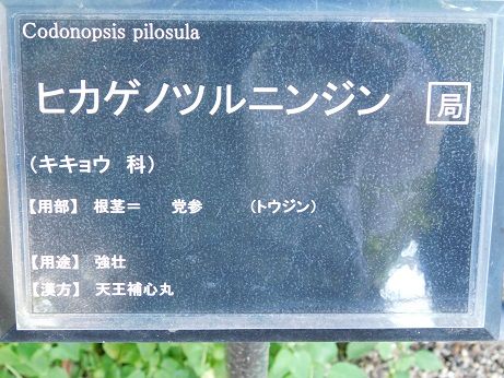 DSCN3438