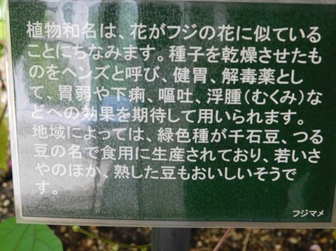 DSCN2670