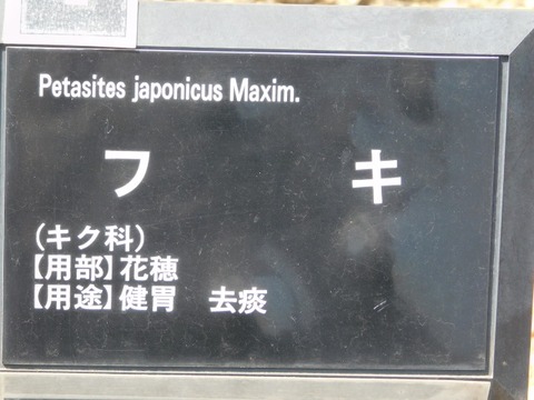 DSCN3924