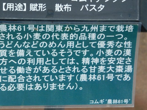 DSCN3759