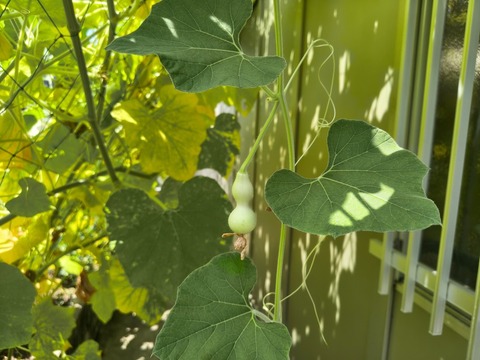 IMG_20260820_114541312_HDR