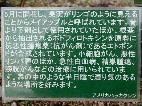 DSCN9035